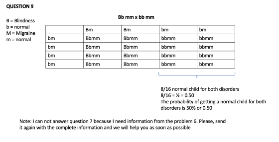 QUESTION 9 Bb mm x bb mm B = Blindness b = normal M= Migraine m = normal Bm Bm bm bm bm Bbmm Bbmm bbmm bbmm bm Bbmm Bbmm bbmm