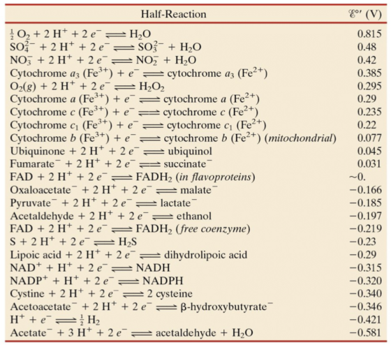 (V) Half-Reaction 0.815 O, 2 H 2 e H3O SO 2 H+ 2 e SO H2O 0.48 NO3 2 H 2 e NO3 0.42 Cytochrome a3 (Fe3+) e cytochrome a (Fe2+) 0.385 O2 (g) 2 H+ 2 e 2O2. 0.295 Cytochrome a (Fes e cytochrome a (Fe2+) 0.29 Cytochrome c (Fe3+) e cytochrome c (Fe 0.235 tochrome c (Fe3+) e cytochrome cr (Fe2+) 0.22 Cytochrome b (Fest) e cytochrome b (Fe2+) mitochondrial 0.077 Ubiquinone 2 H 2 e ubiquinol 0.045 Fumarate 2 H+ 2 e succinate 0.031 FAD 2 H+ 2 e FADH2 (in flavoproteins) Oxaloacetate 2 H 2 e malate 0.166 Pyruvate 2 H 2 e lactate 0.185 Acetaldehyde 2 H 2 e ethanol 0.197 FAD 2 H 2 e FADH ree coenzyme) 0.219 S 2 H+ 2 e H S 0.23 Lipoic acid 2 H 2 e dihydrolipoic acid 0.29 NAD+ H 2 e NADH 0.315 NADP H+ 2 e NADPH 0.320 Cystine 2 H+ 2 e 2 cysteine 0.340 Acetoacetate 2 H+ 2 e B-hydroxybutyrate 0.346 0.421 e Acetate 3 H 2 e acetaldehyde H20 0.581