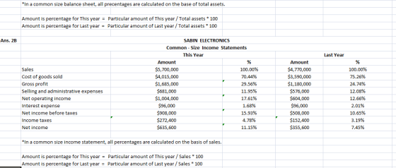 *In a common size balance sheet, all precentages are calculated on the base of total assets. Amount is percentage for this ye