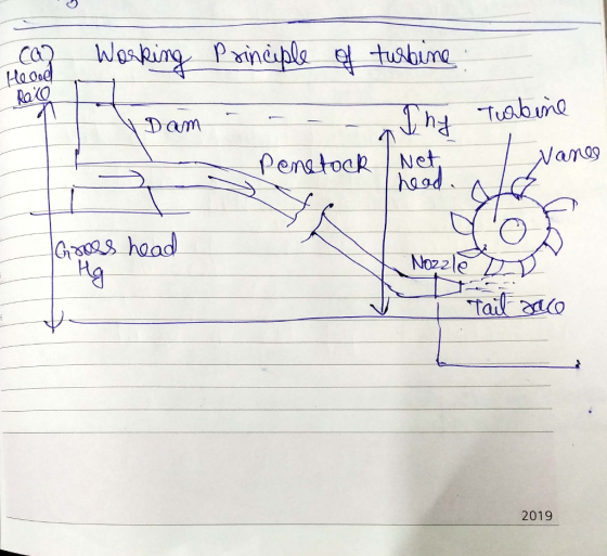 Woaking Prinesple tusbune Ca? Haoad RaO Dam hTusbune Penatock Net haad Nanog |G02 haad No22le Tail no 2019