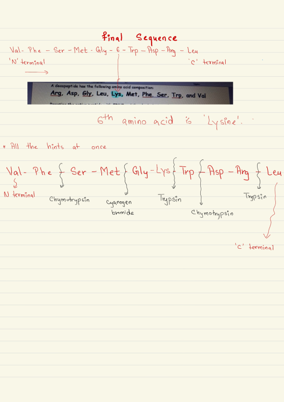 final sequence Val- Phe N terminal Ser - Met - Gly- 6 - Trp - Asp - Ang - Leu c terminal A decapeptide has the following