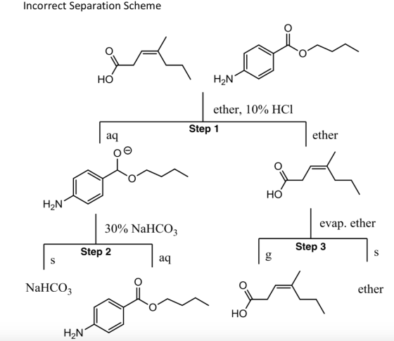 Incorrect Separation Scheme H2N ether, 10% HC1 Step 1 ether HO HON 30% NaHCO3 evap. ether Step 2 Step 3 NaHCO3 ether maltecos