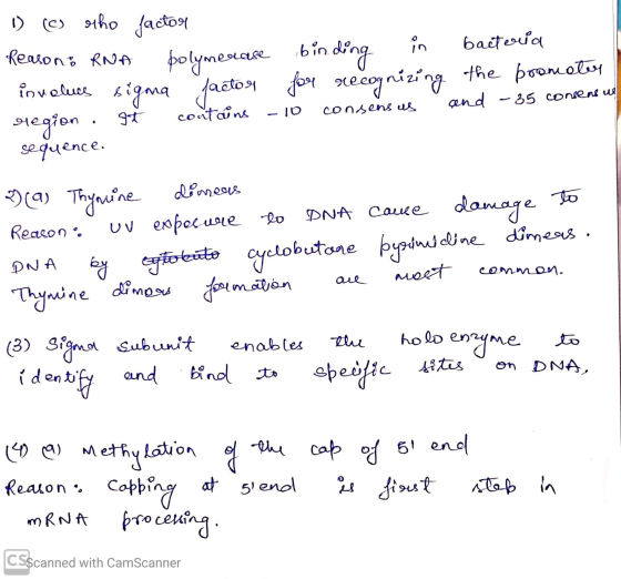 bin in bacteria ding 1 © the factor Reason: RNA polymerase involues signa factor region sequence factor for recognizing the p