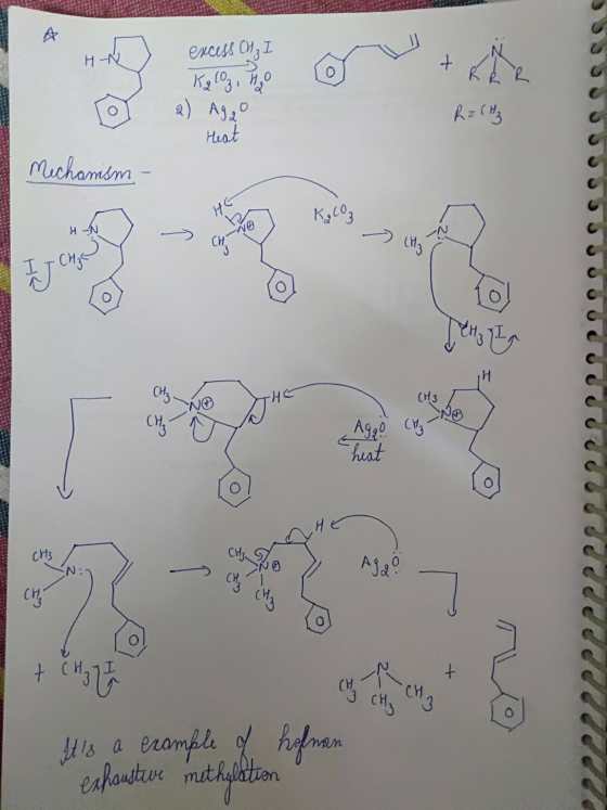 HN) + R Ř R excess CHI Kg CO₂, H2O a) Ago Heat Ra(Hz SSSSSssssss mechanism - H-N / 2 2 2 2 2 2 2 2 P P2PO2222.2.2 PP + CH₂ I