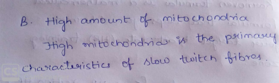 V o lumul von B. High amount of mitochondria High mitochondrid is the prime characteristics of slow twitch fibres. ma