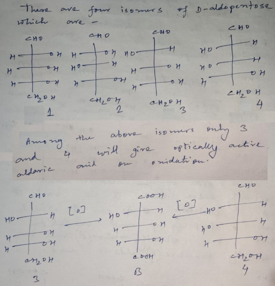 isomers of D-aldo pentose There which are are four a Сур оно сир 2 HD о» но не ен но н х гг Ноун си, висн, он ен, он / ан, өн