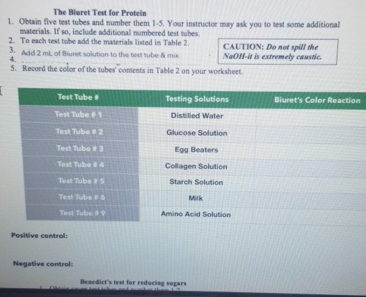 The Bluret Test for Protein 1. Obtain five test tubes and number them 1-5. Your instructor may ask you to test some additiona