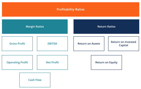 Profitability Ratios Diagram with Examples