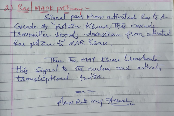 2 Ras MAPK pathway : - Signal pars from activated Ras to A Cascade of protein kinase, this cascade transmitter signals -downs