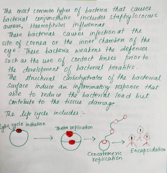 The most common types of bacteria that causes bacterial conjunctivitis includes staphylococcus aureus, Haemophilus influenzal