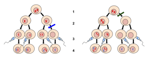 ര (ര) ) ( 1 ) 4