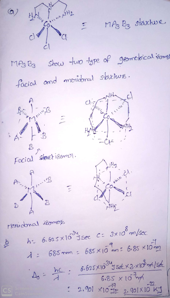 MA3 B3 stachue Show tuo type of geontical ome MA Be facial and meional stcwe B Focial et igsmo Herwcbnal omes h 6.625 x1o sec