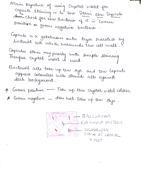 main igrauug O aron u call wall Cpses ttauiv vy po Badiual aus taeu up ae and uw dauh bac 午Gram palin * Grom nagoturo COLOURL