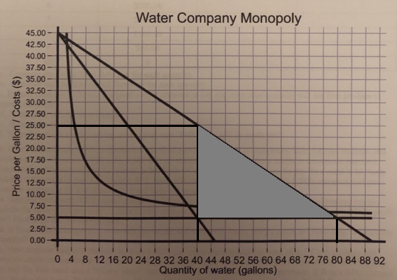 Water Company Monopoly 45.00 - 42.50- 40.00 - Price per Gallon/Costs ($) 5.00 2.50 0.00 0 4 8 12 16 20 24 28 32 36 40 44 48 5