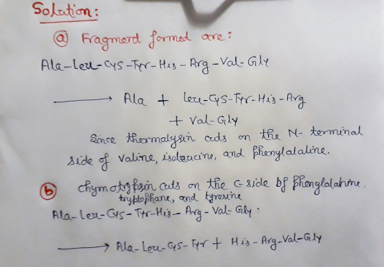 Solrtiom: Fragmard Jormat ave Ala-Leu-cys -al- Gily Val- Gly うAla-Leu-GS-Fyn + His-Arg-Val-Gly