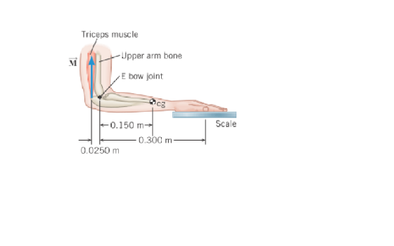 In an isometric exercise a person places a hand on
