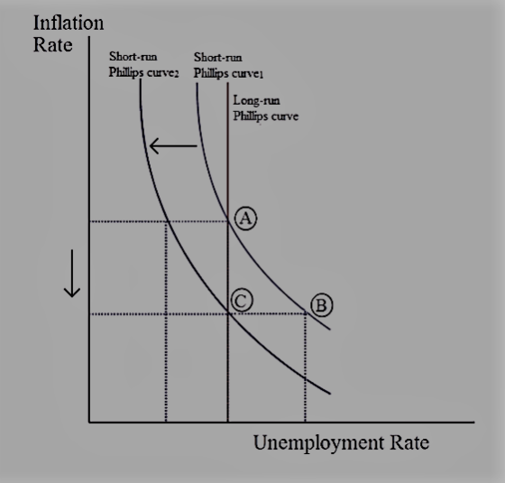 Inflation Rate Short-runShort-run Philips curvez Phillips curvei S cVel Long-run Phillips curve Unemployment Rate