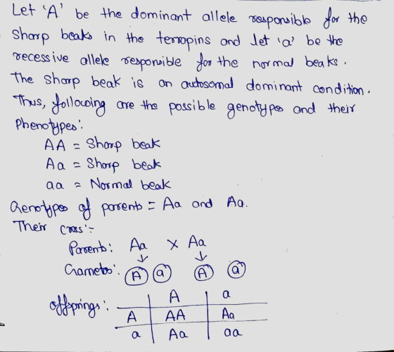 Let A be the dominant allele responsible for the sharp beaks in the terropins and let a be the recessive allele responsib