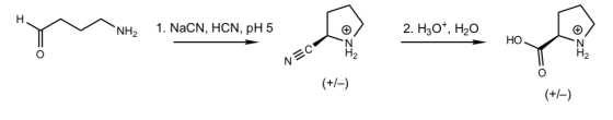 H NH2 1. NaCN, HCN, pH 5 2. H30+, H20 HO NEC O (+/-) (+/-)
