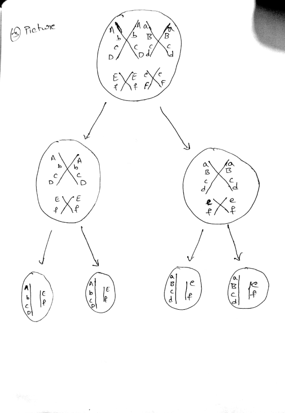 6 Picture M/ B A ช E \/ E f Af e if f 2 # 2 * น