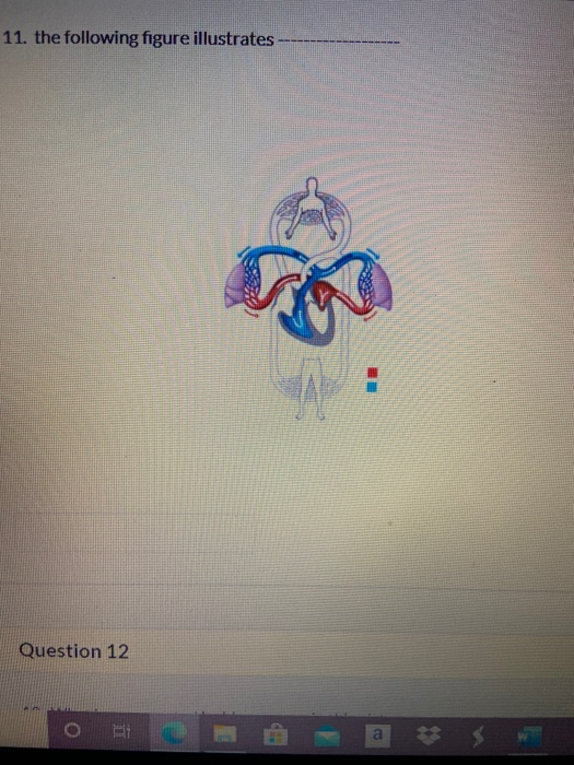 11. the following figure illustrates- . Question 12 a