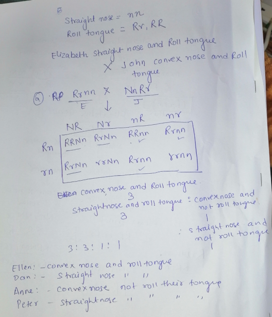 Straight nose z nn Roll tongue = Rr, RR Elizabeth Straight nose and Roll tongue X John convex nose and Roll tongue Nn Rr. @ R
