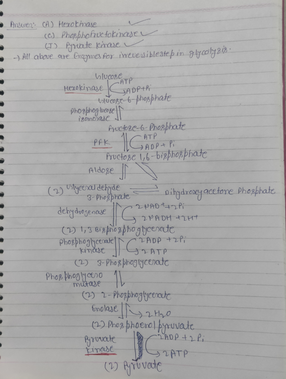 Answer: (A) Hexokmase (C) Phosphohuc folincse (I) Pyrate kinase All above are Enzymes for ireversiblestebin glycoly 818 Gluco