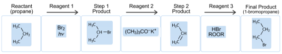 Reagent 1
Reactant
(propane)
Step 1
Product
Reagent 2
Step 2
Product
Reagent 3
>
Final Product
(1-bromopropane)
H3C
H3C,
H3C
