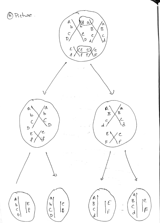 H ④ Picture A b b XA at B с с ID B с D Id XE ele A la b B b B с Id E f Mf To o F وی » t B с de