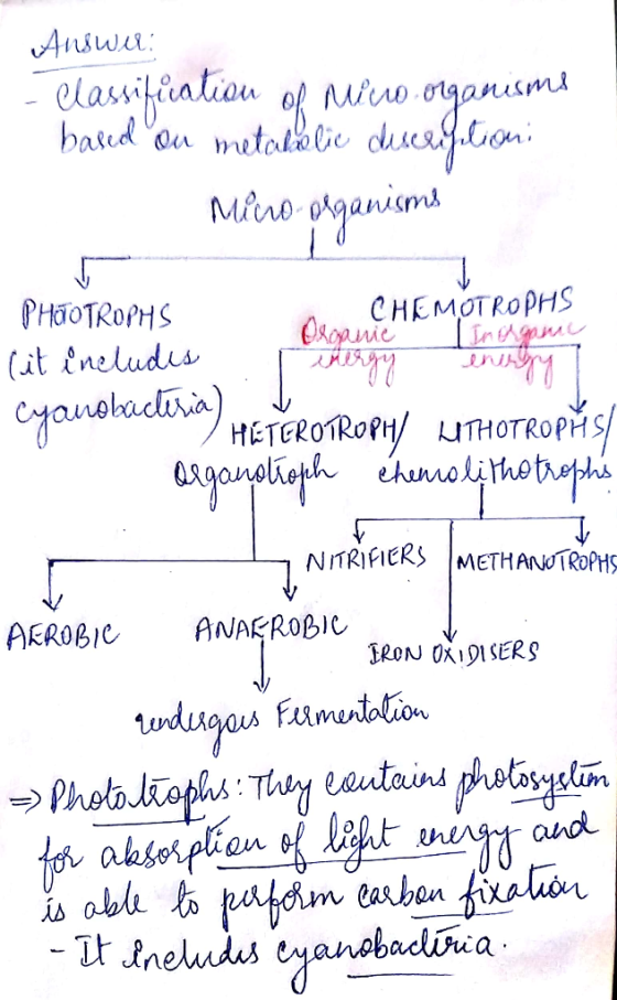 CHEMOT RopHS MAC (it Aneludus NITRIFICKS METHANOTRoPHS AEROBIC ANAEROBIC IRON OXISERS and anobaclvuia