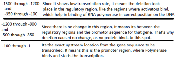 -1500 through -1200 Since it shows low transcription rate, it means the deletion took place in the regulatory region, like th