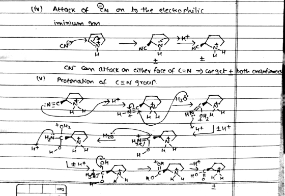 Attack of EN on to the electrophilic iminium son CAF L NC + t Ca can attack on either face of C=N =) weget + both enantioners