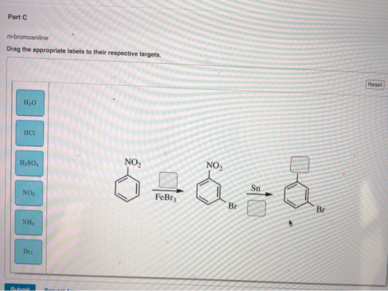 Part C m-bromoaniline Drag the appropriate labels to their respective targets. Reset H2O HCI H,SO NO2 NO2 ةة Sn NO, FeBrz Br