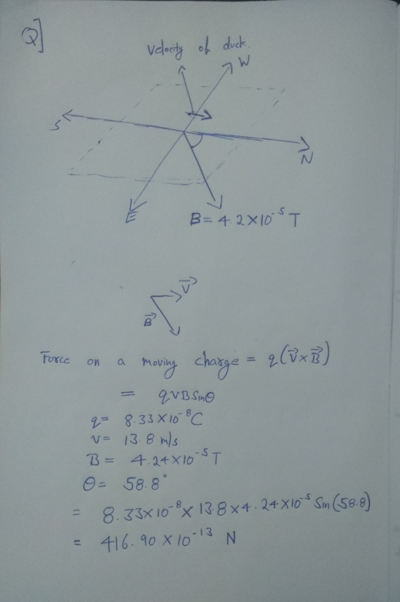 velocity of duck Î 7W B= 4.2X10T wy Force on a moving charge = q (u x B) = q VB sino q= 8.338 10 8 C = 13.8 m/s B = 4.24X10 S