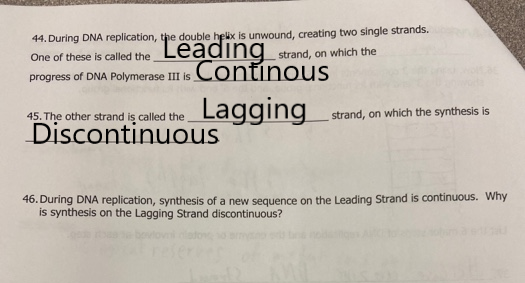44. During DNA replication, the double helix is unwound, creating two single strands. One of these is called the Ledaing stra