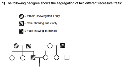 1) The following pedigree shows the segregation of two different recessive traits: = female showing trait 1 only =male showin