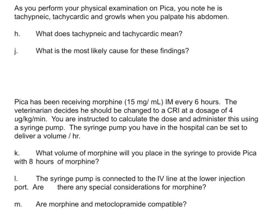 As you perform your physical examination on Pica, you note he is tachypneic, tachycardic and growls when you palpate his abdo