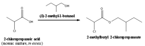 OH (S)-2-methyl-1-butanol OH CI CI 2-methylbutyl 2-chloropropanoate 2-chloropropanoic acid (racemic mixture in excess)