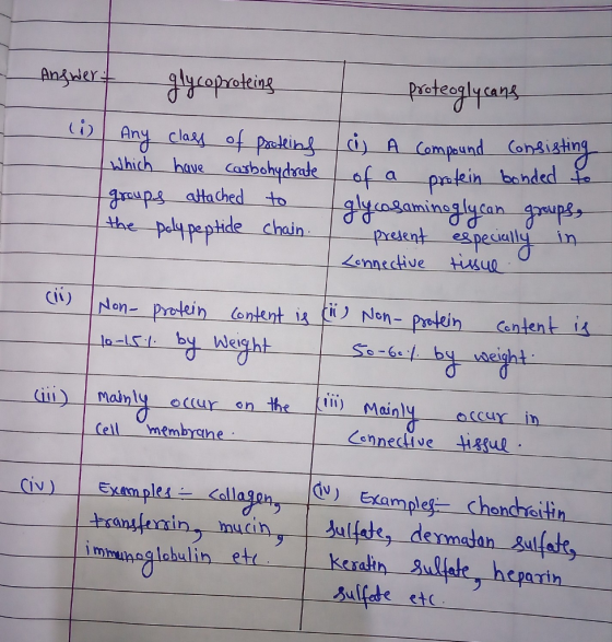 Anfwert glycoproteing proteoglycans | Any class of proteins which have carbohydrate groups attached to the polypeptide chain