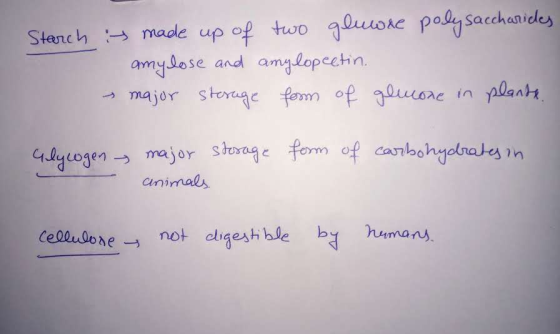 Starch is made up of two gluore polysaccharides amylose and amylopectin. major storage form of glucone in plante form of carb