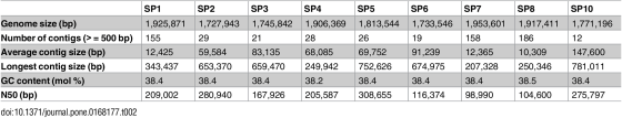 SP3 1,745,842 SP4 1,906,369 SP5 1,813,544 21 28 26 Genome size (bp) Number of contigs (>= 500 bp) Average contig size (bp) Lo