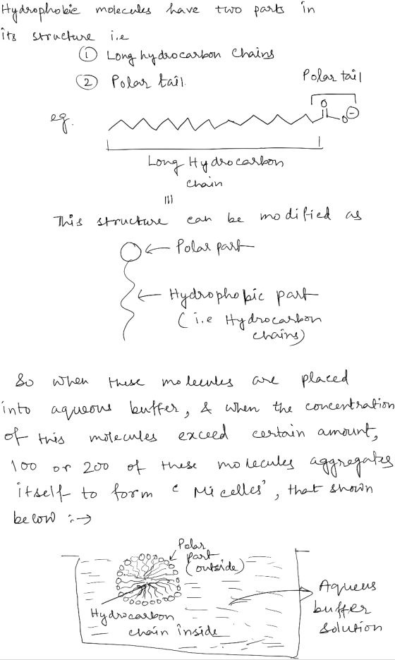 Hydrophobie molecules have two parts in its structure ire 0 Long hydrocarbon Chains Polar tail Polar tail ef m inoo Long Hydr