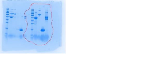 phpqlJBdm.png