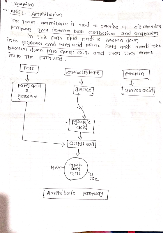 Soinition ANS: Amphibolism The Term cimpriboric is used to decizibe a bio che pathe dy That invoques both cariel borsm cond c