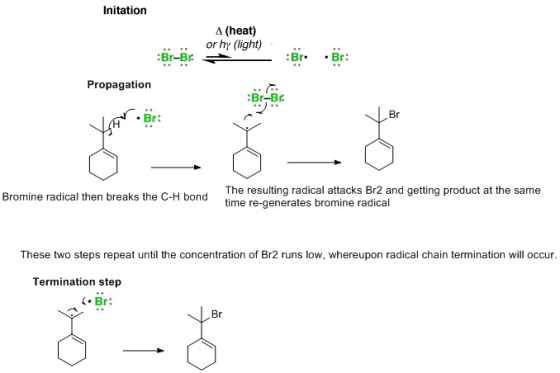 Initation a(heat) orhy (light) Br-B BrBr Propagation Br-Br Br: The resulting radical attacks Br2 and getting product at the s