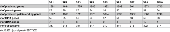 SP3 1725 SP1 1991 22 1907 SP2 1694 26 1669 65 SP4 1905 24 1923 # of predicted genes # of pseudogenes # of predicted potein-co