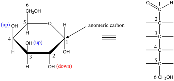 н
6
CH-оH
2
5
(up) он
н
anomeric carbon
Н
4
ОН (up)
4
С
Н
ОН
2
3
с
ОН (down)
Н
6 CH-он
со