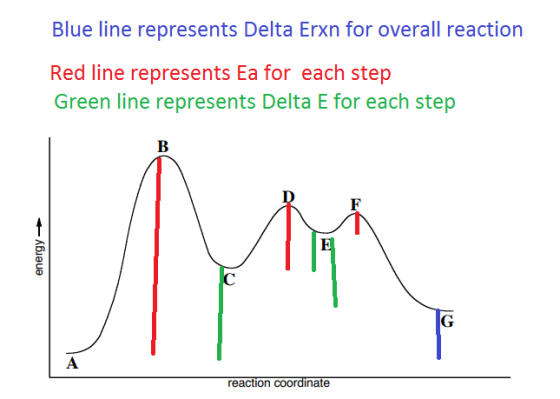 Blue line represents Delta Erxn for overall reaction Red line represents Ea for each step Green line represents Delta E for e