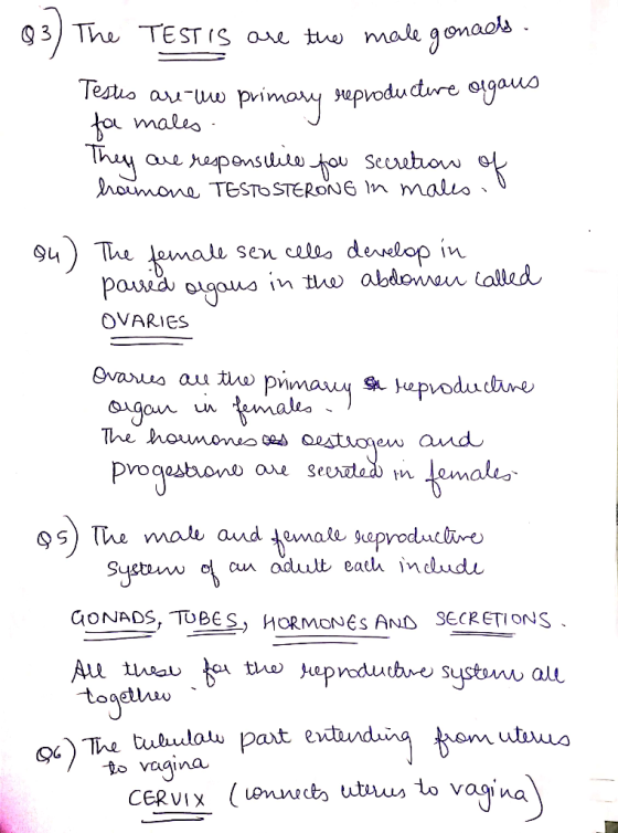 83) The Testis are the male gonals. Testes are the primary reproducture agaus for males They are responsible fou secretion of