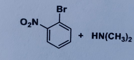 Br O2N + HN(CH3)2